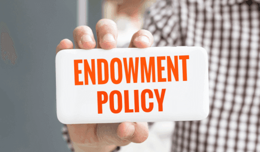 Term Insurance vs Endowment – Which One to Choose? – Complete Guide